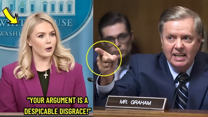 Judge Mocks Caroline Levitt in Court—Then Is Stunned by Her Legal Genius! -  YouTube