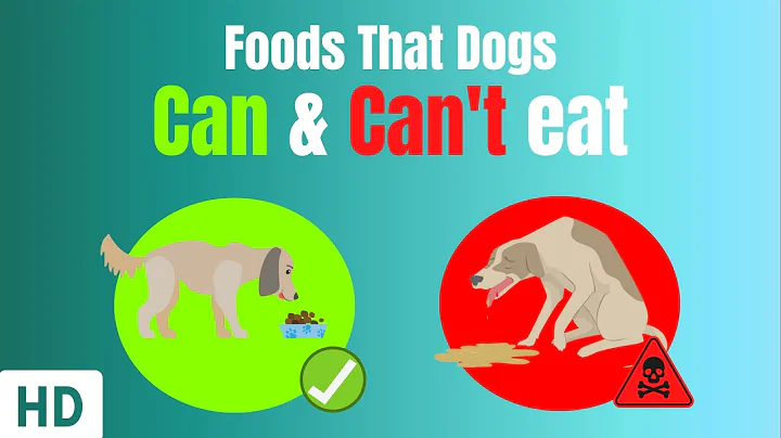 Foods That Dogs Can And Can't Eat - DayDayNews