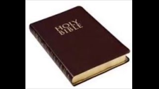 Brontosauři - Bible