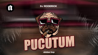 Pucutun 💥 Guaracha 2022 | Prod. Dj Roderick (Aleteo, Tiktok, Zapateo, Guaracha, New, Viral) Resimi