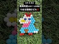 分かったらコメントしてちょ！#ホゲータ #ポケモン