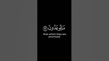 سورة المؤمنون