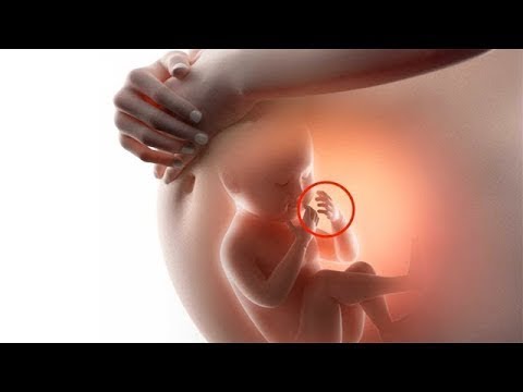 Co robi dziecko w brzuchu matki