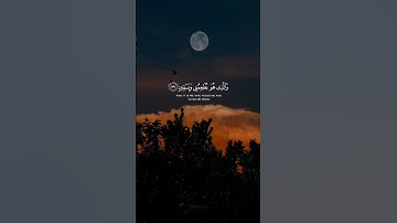 #محمد_صديق_المنشاوي#تلاوة #آيات #القرآن_الكريم#تلاوة_خاشعة #القرآن#تلاوات#quran#قرآن #قران_كريم#ايات