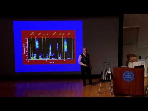 Oornhu: The Science Behind The Sensation