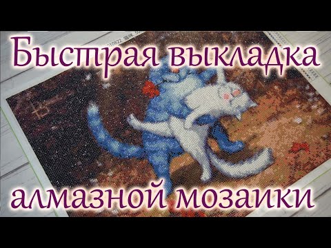 Алмазная вышивка питерские коты