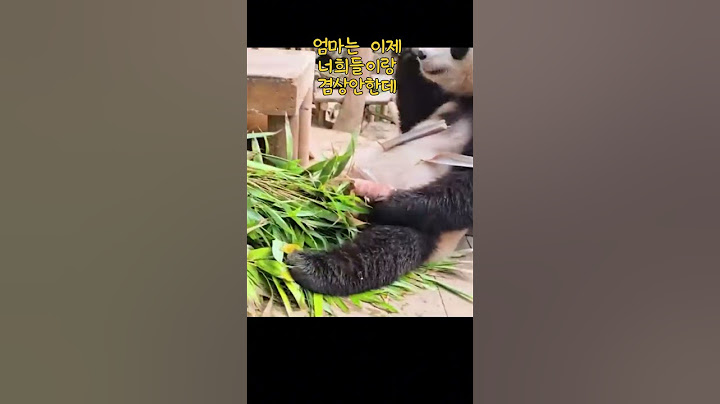 엄마는 이제 너희들이랑 겸상안한데 0618 러바오 (Le Bao) 가족