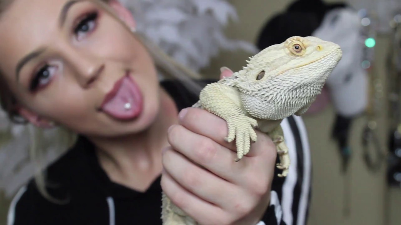 dogs from shelters near me