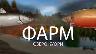 Стрим русская рыбалка 4 | Рыбалка на реке Волхов и озере Куори  | Юбилейные задания рр4
