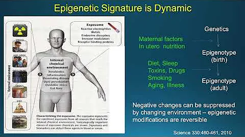 Epigenetics & Wellness - Lifestyle Choices and Human Health