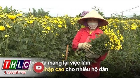 Tạo việc làm cho lao động nông thôn trước tốc độ đô thị hóa | THLC