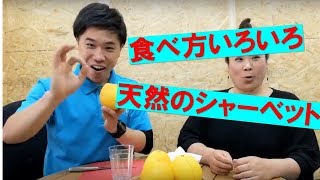 【美生柑の食べ方】オススメ③つ