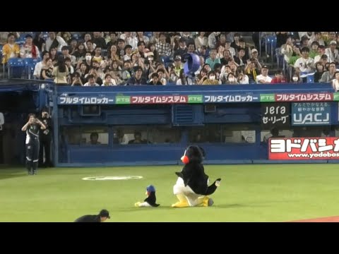 つば九郎の空中くるりんぱ！ 2023/9/23