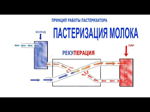 Пастеризация молока
