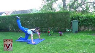 KNEELING SINGLE LEG REVERSE HYPEREXTENSIONS - HQ Strength Drill!