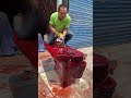 The water test is completed by sn tools shorts sntools woodworking