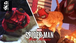 Making the Spider-Cat Mask for my Cat (Spider-Man: Miles Morales)
