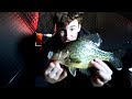 Jigging Rap Crappies (Ice Fishing Crappie)