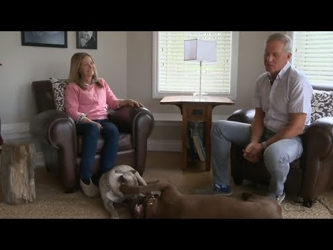 lost dogs reunited with owners compilation