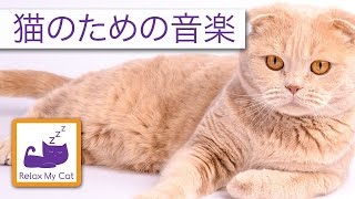 あなたの猫を静めるために音をなだめる猫や友人のための音楽