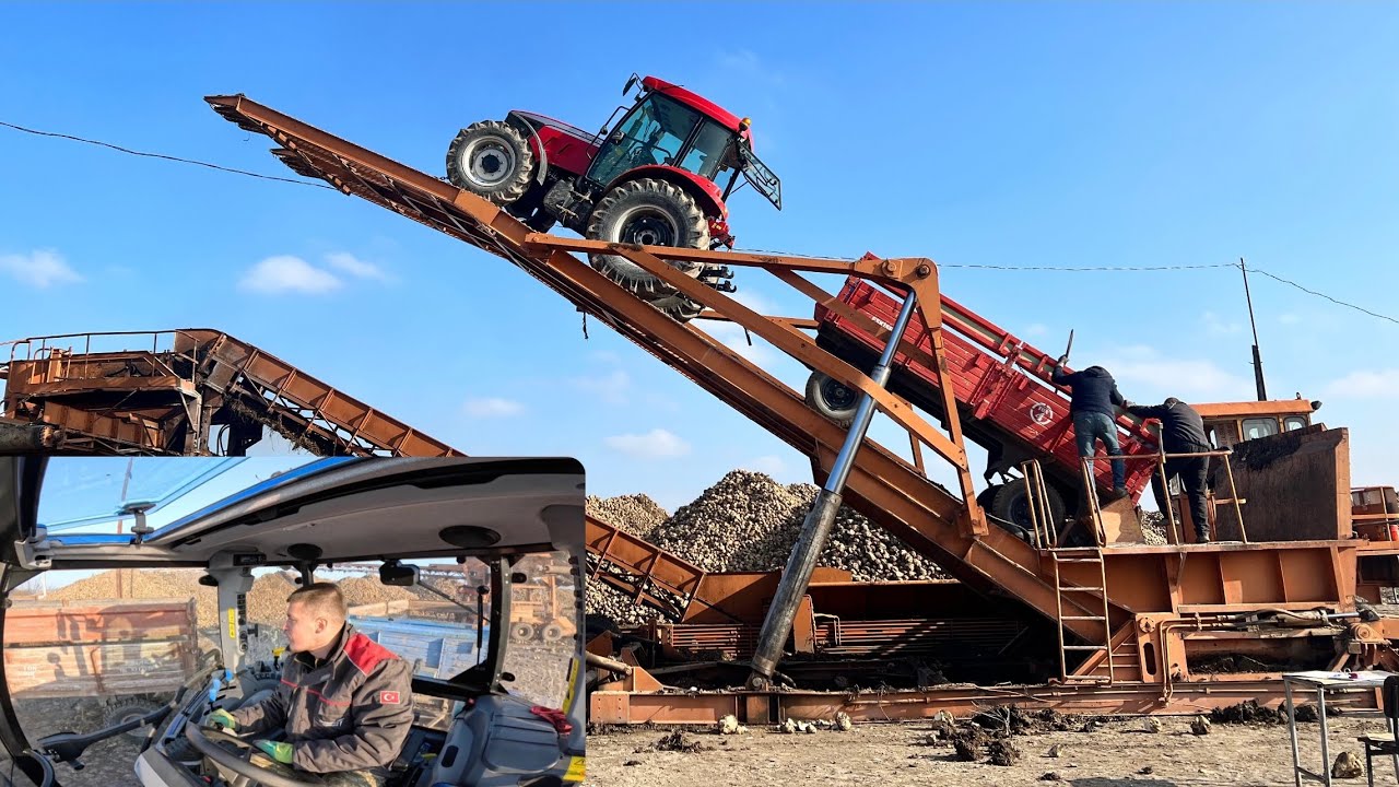 TarımVlog 54 | Life Pancar Çekiyoruz. Pancara SON