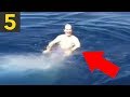 Top 5 SHARK Close Calls - YouTube