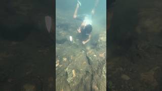 Discovery super waters hole rich gold🫵 #goldrush #gold #nature #shorts #video