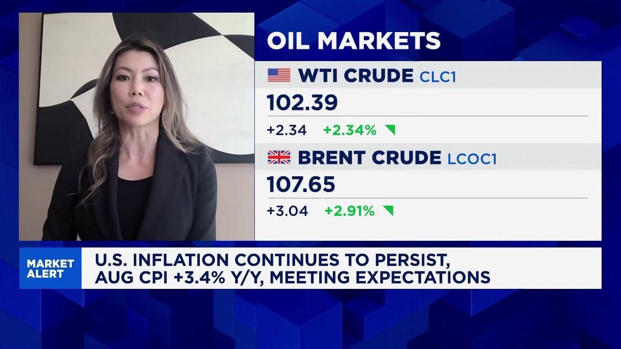 Rate hike cycle not yet an alarm for stock markets, rising oil price an increasing risk: PM