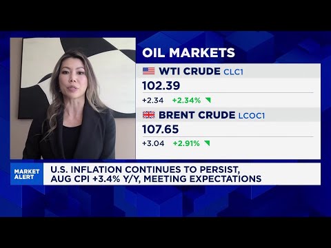 Rate hike cycle not yet an alarm for stock markets, rising oil price an increasing risk: PM