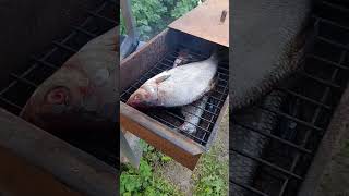 Копчение леща
