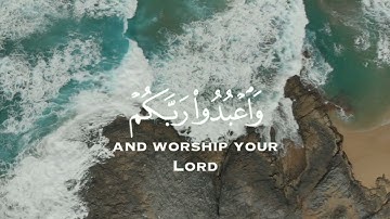 سورة الحج الاية 77