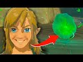 Funny glitches we found in tears of the kingdom and more