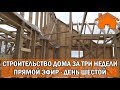 Строительство дома за 3 недели, прямой эфир. День шестой.