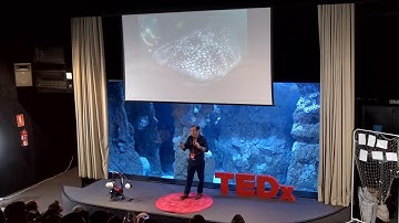 Un vistazo a las fascinantes criaturas del océano | Enrique Talledo | TEDxGijon