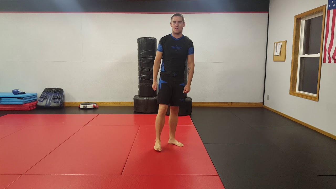 Elite sports fight shorts review