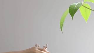 Nextdoor - High Quality 220Ml Ultrasonic Air Humidifier Aroma Essential Oil Diffuser