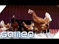 Freilaufende Hühner? Was bedeuten die Beschriftungen auf Eiern? | Galileo | ProSieben