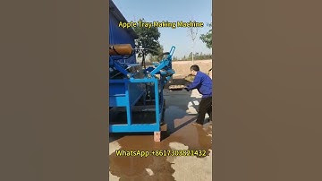 Apple Tray Making Machine | Paper Pulp Fruit Tray Production