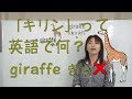 『キリン　giraffe』ってどう発音する？英単語と発音記号と口の形(No.315)