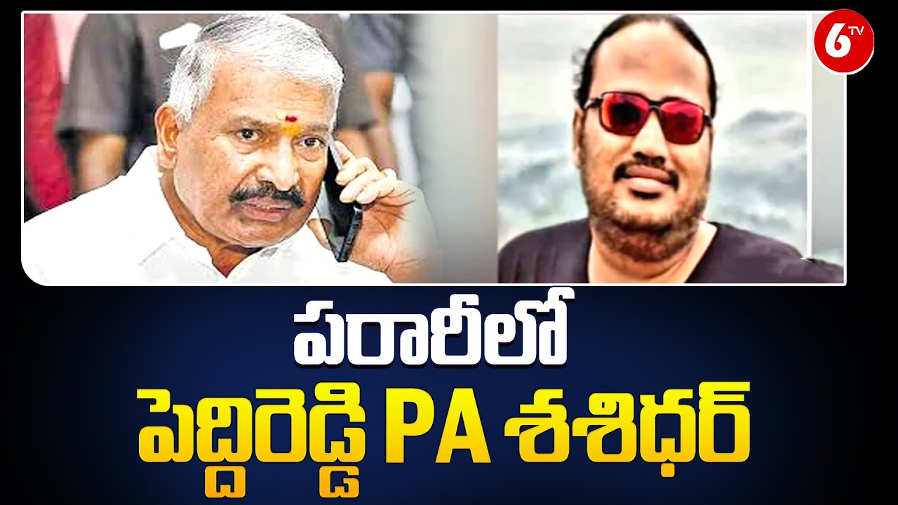 Madanapalle Latest News : పరారీలో పెద్దిరెడ్డి PA శశిధర్ | 6TV - YouTube