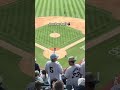Yankees #yankees #baseball #mlb