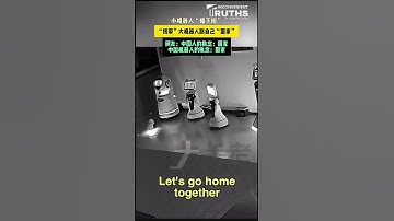 Smart Robot Convinced Other Robots to  Go Home  Together