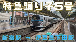 乗車記）特急踊り子5号 新宿駅 → 伊豆急下田駅 / 太平洋の景色を見