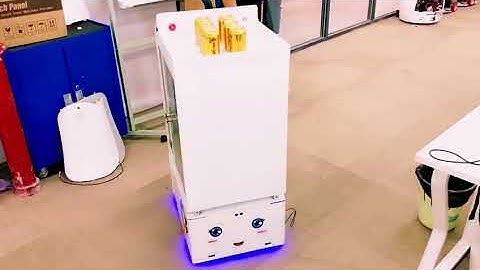 Delivery Robot