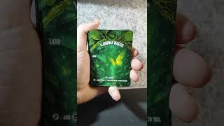 aatchik custom mtg commander deck