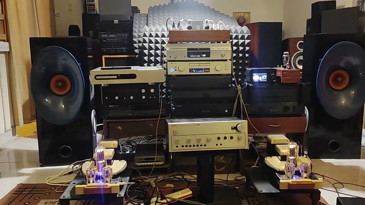 DARED DV 845 Mono power amplifier TAA HORN Full range speakers