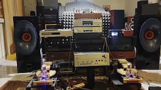 DARED DV 845 Mono power amplifier TAA HORN Full range speakers
