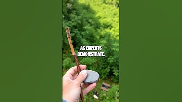 Harnessing the Power of Solar Navigation in Wilderness