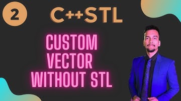 2) Custom Vector  without  C++ STL (Only C++)