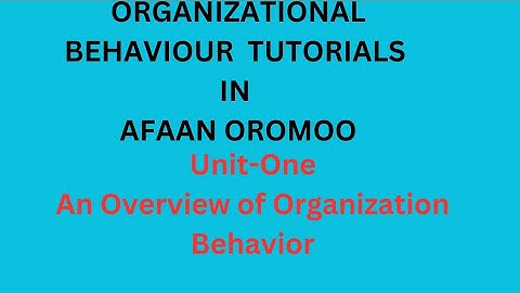Introduction to Organizational Behavior/Unit one in Afaan Oromoo/Management/Business management